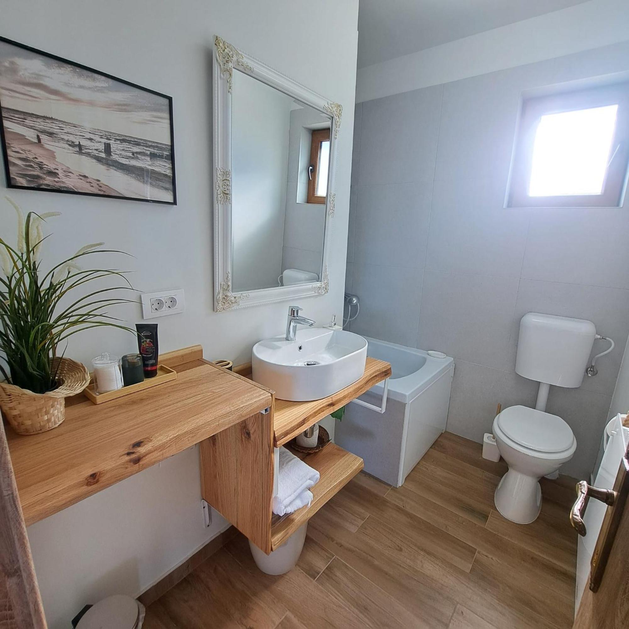 Cozy Living Villa Dealu Negru Ngoại thất bức ảnh